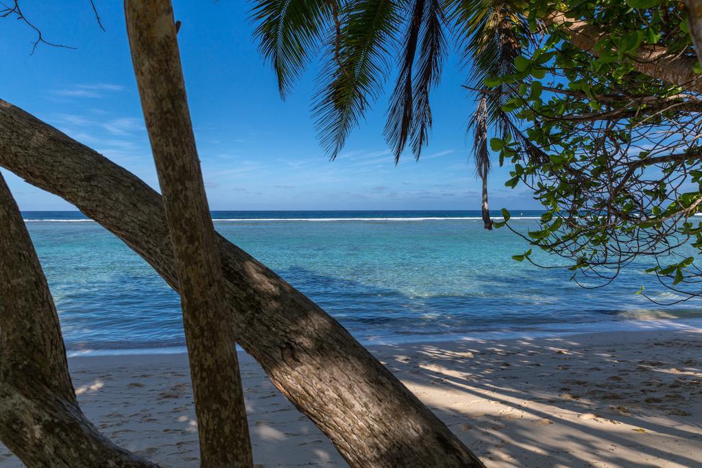 Chalets D'Anse Forbans Selfcatering Такамака Номер фото